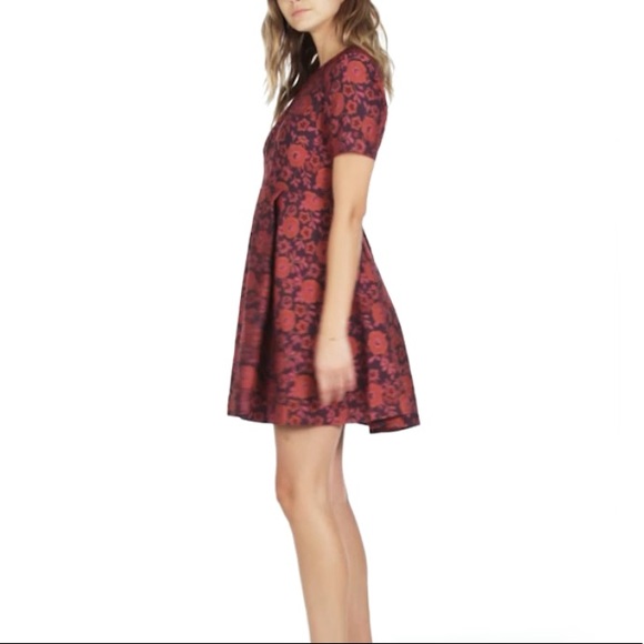 Juicy Couture Maramures Floral Jacquard Dress